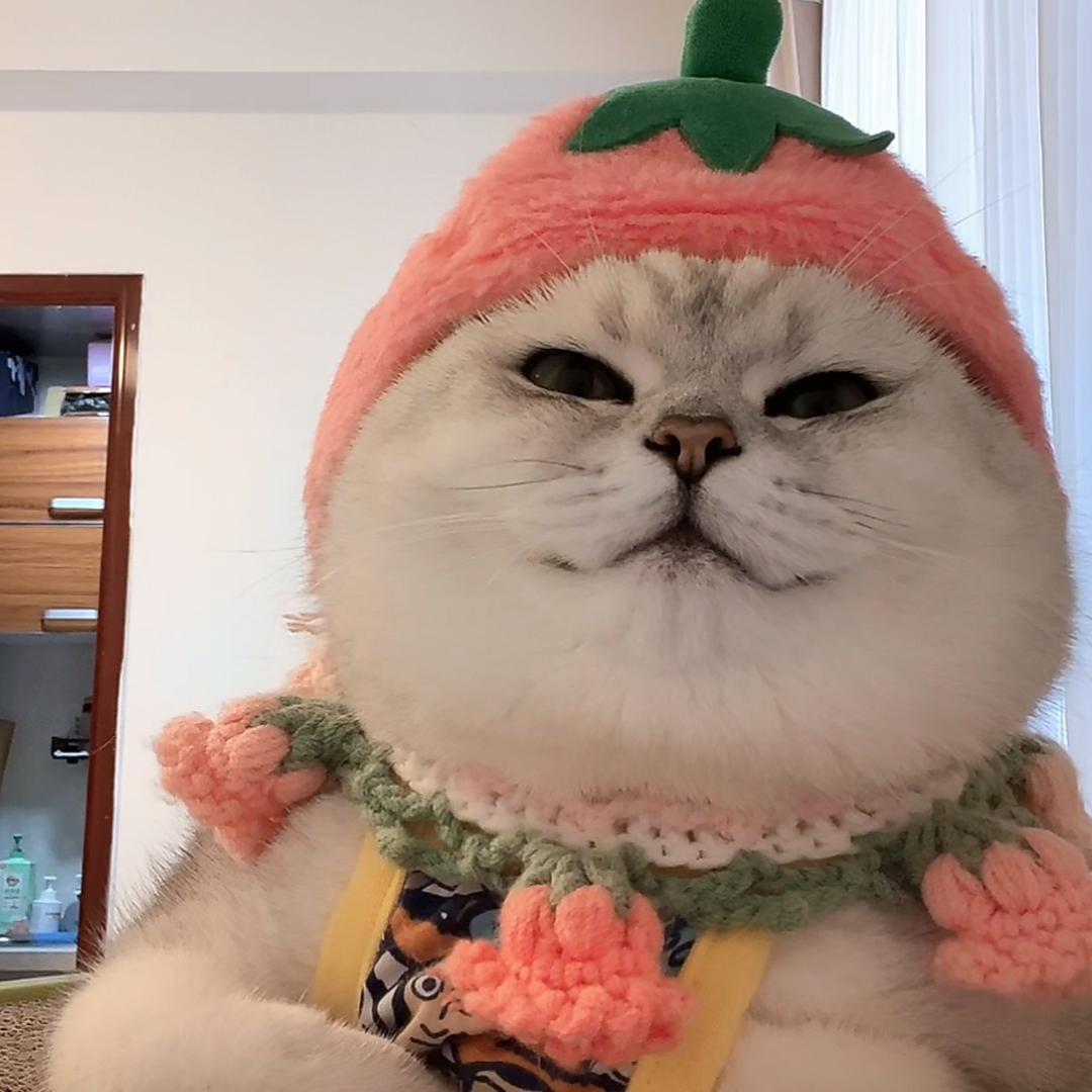 🌈🌈👑郑钱多🎊🎊