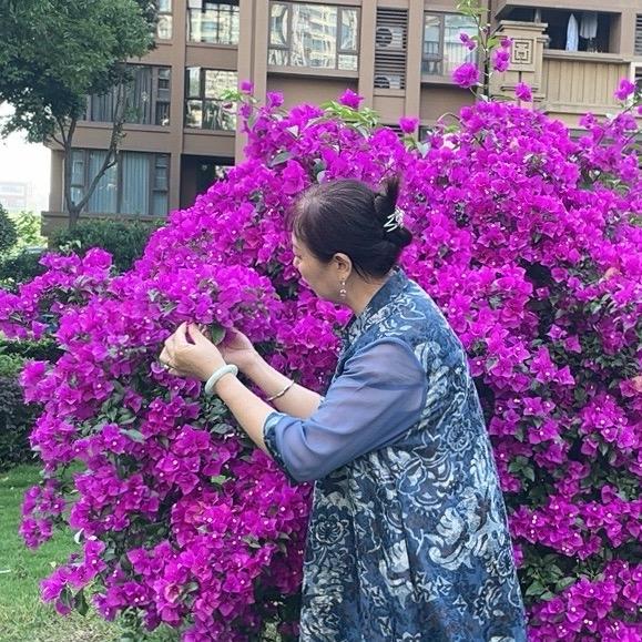 董小草一棵。