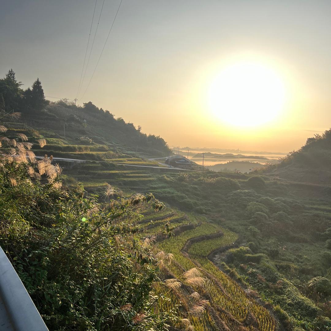 猫大人在农村（户外版）