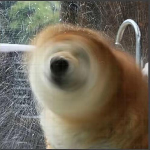 🐑boo
