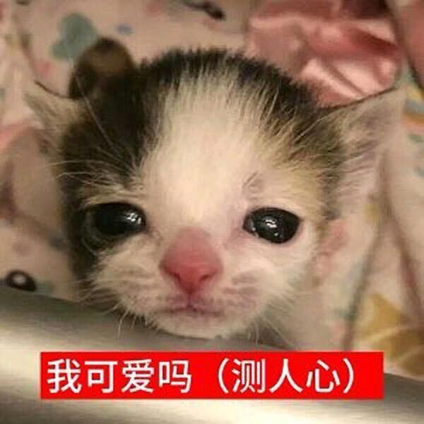 ᅠᅠᅠᅠᅠㅤ