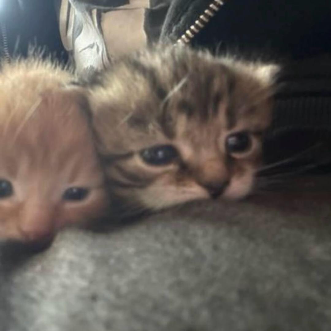 Yㅤ     ㅤ     ㅤ