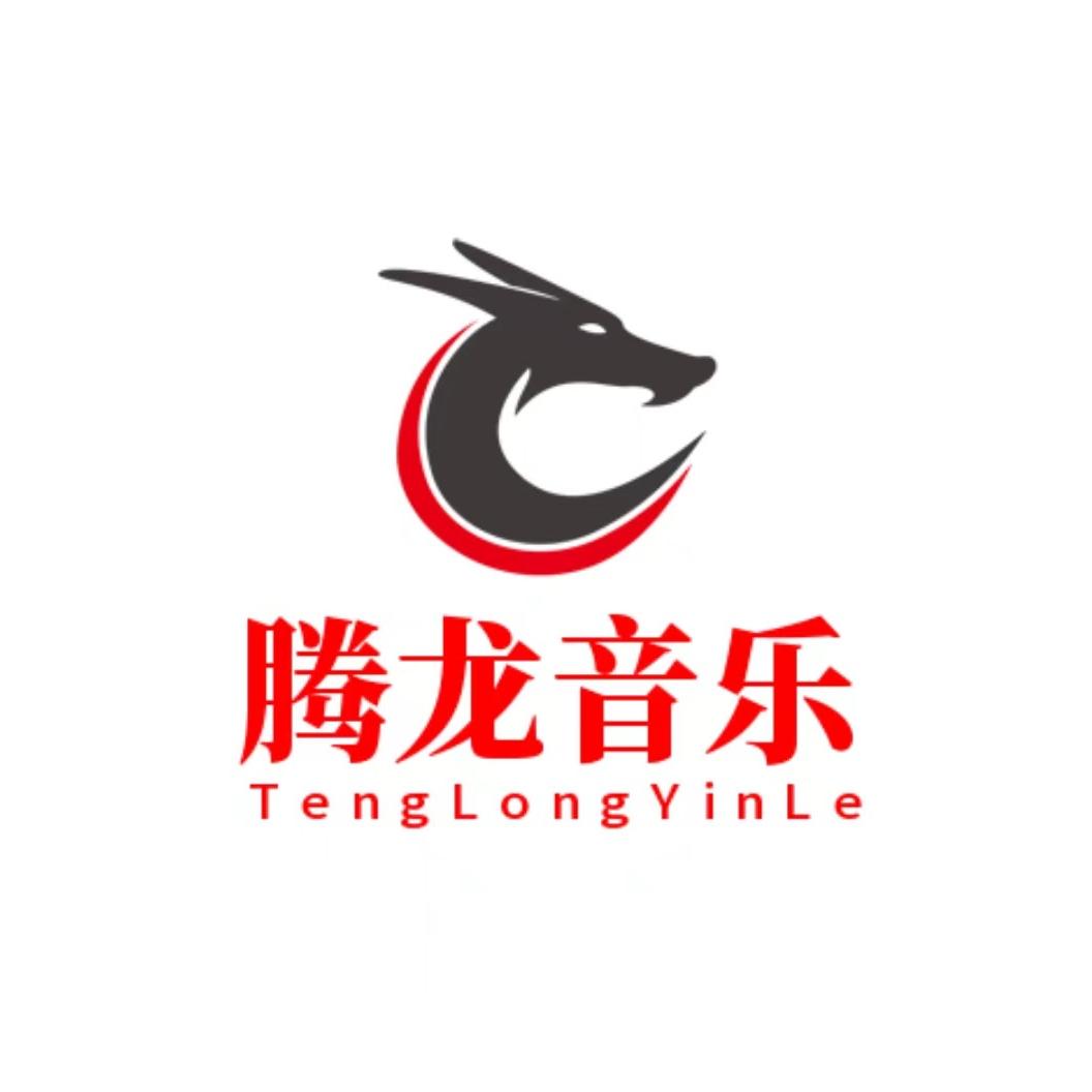 腾龙车载