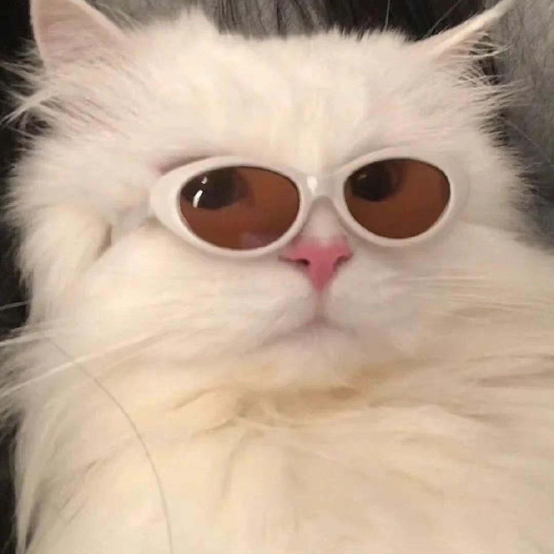 🌈只有一个月亮🌈