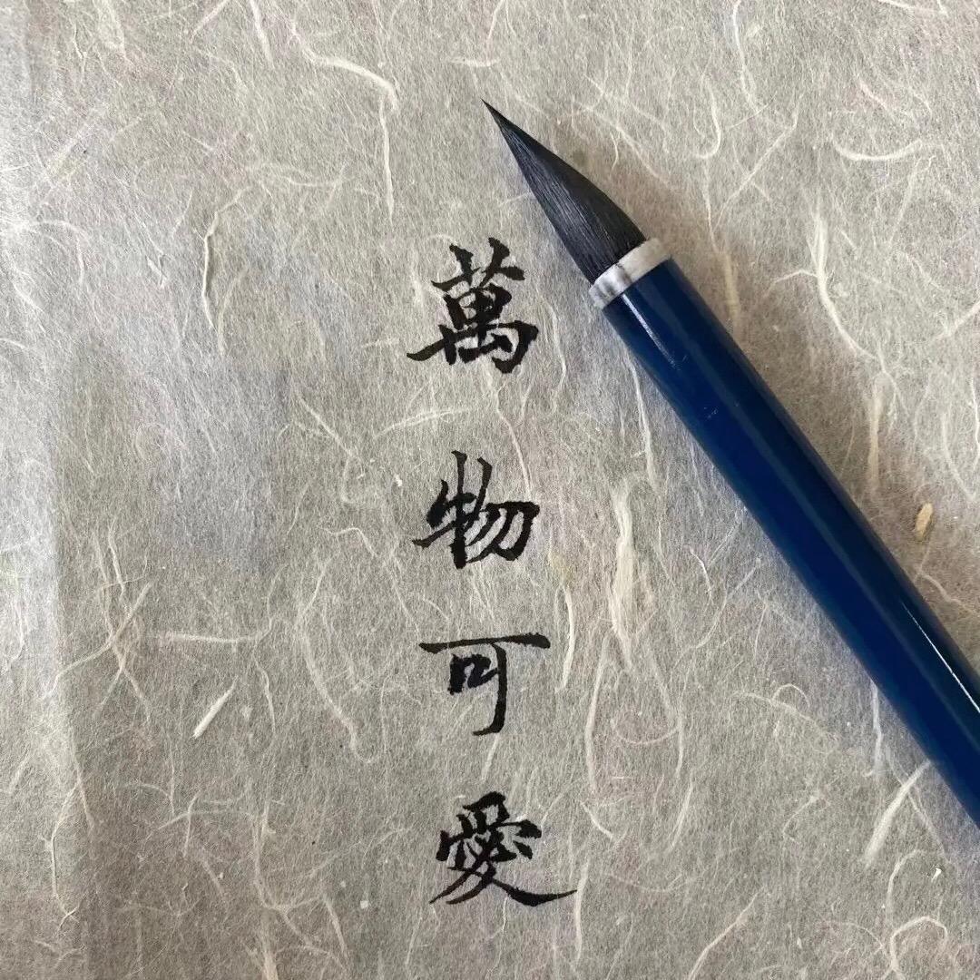 Tq感恩2025