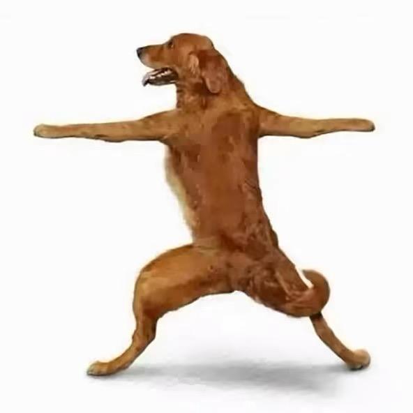 孙悟空cos嫦娥勾引猪八戒