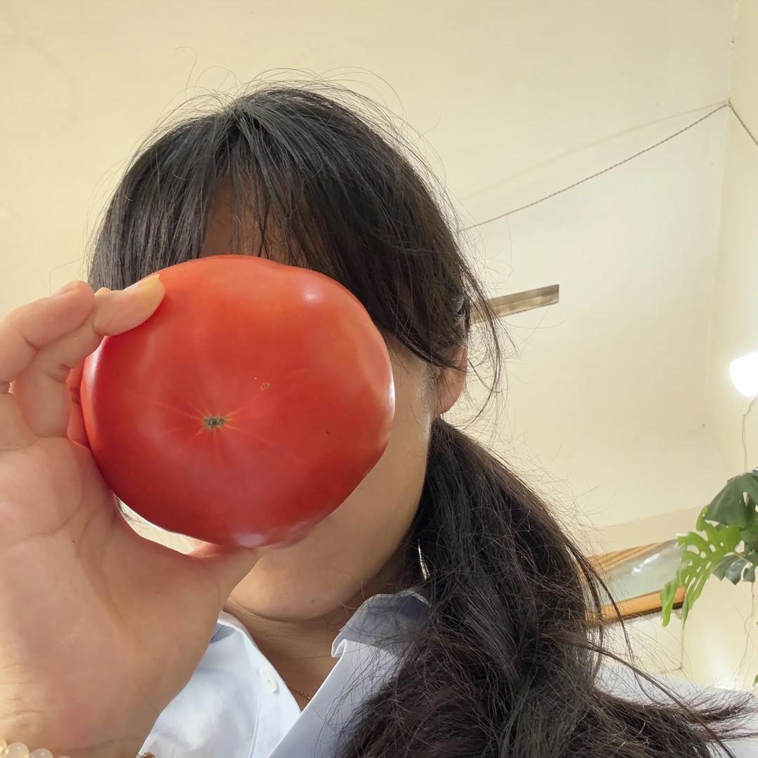 小姬灵的花圃