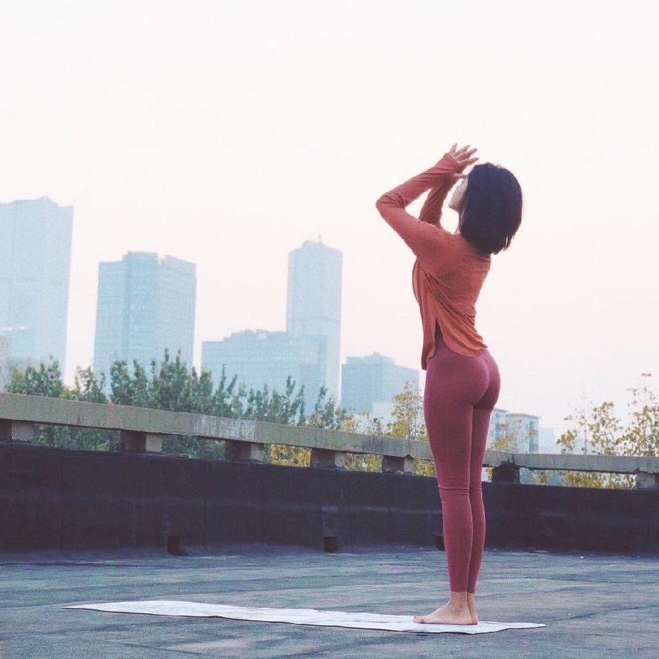 小狗日记