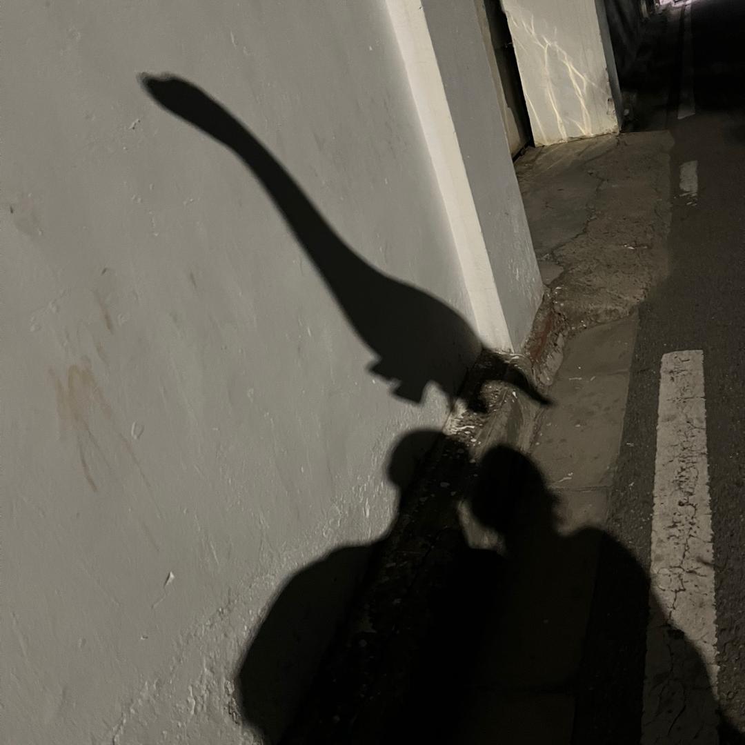 秦生 _