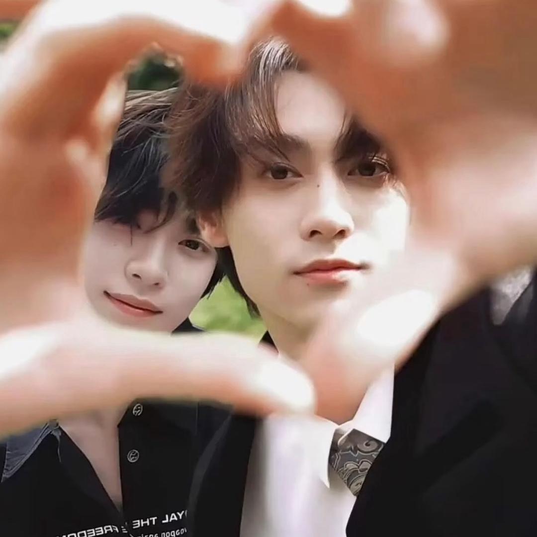 霸王龙🦖（互粉）