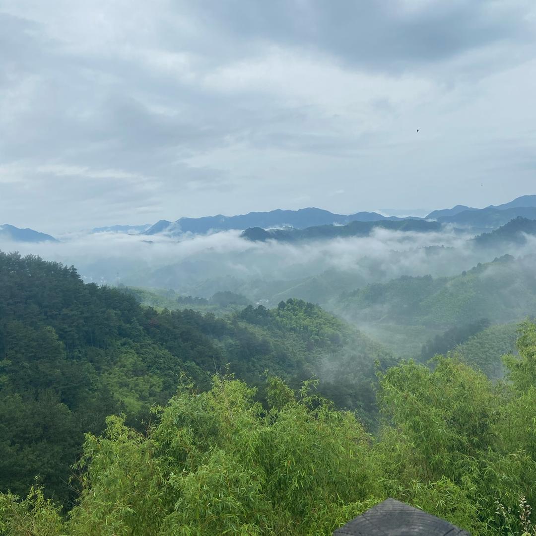 🙄话不多先生😜