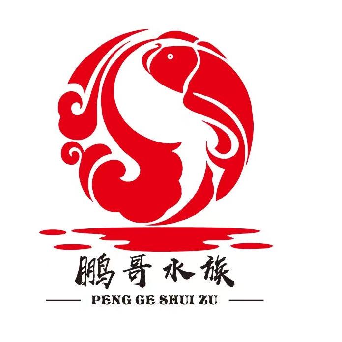 鹏哥水族2号