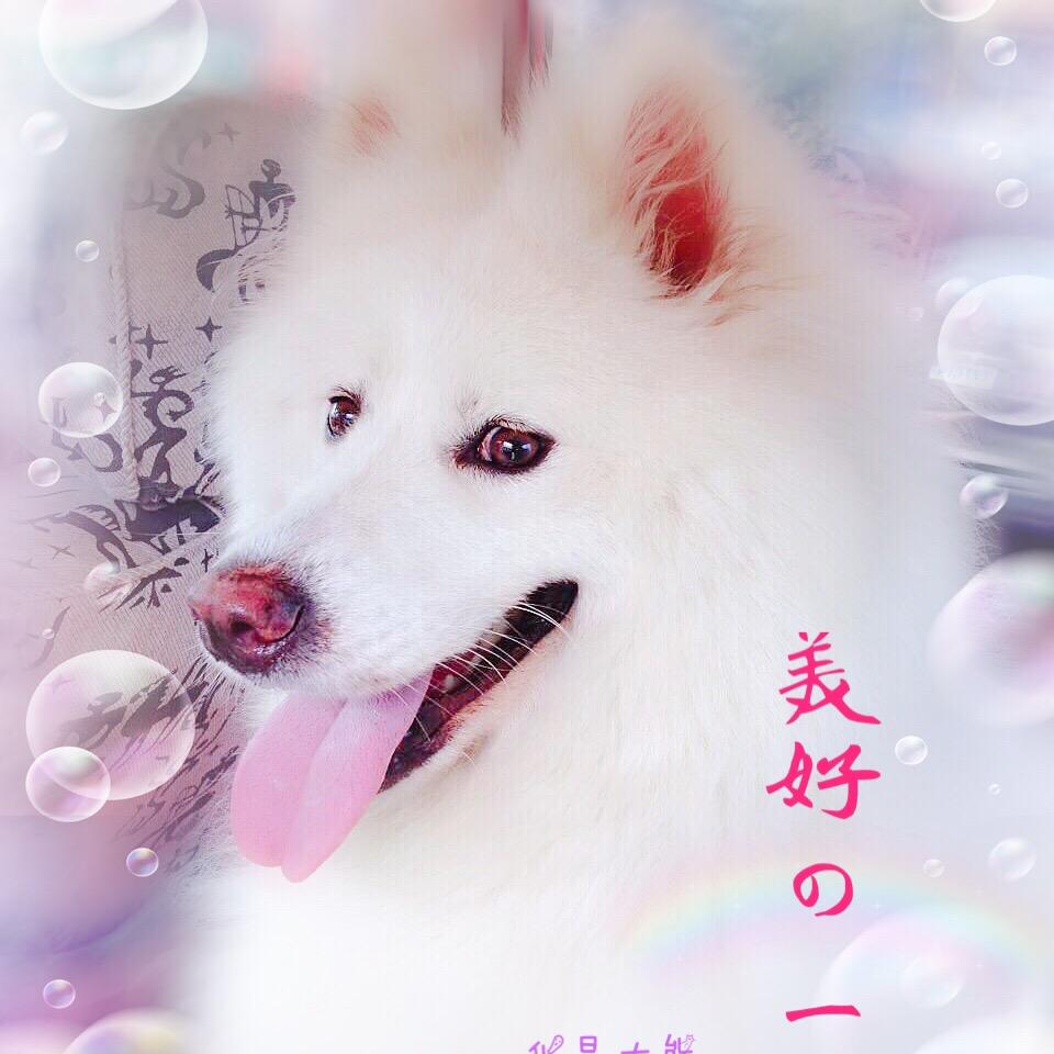 💤君🔜临天下