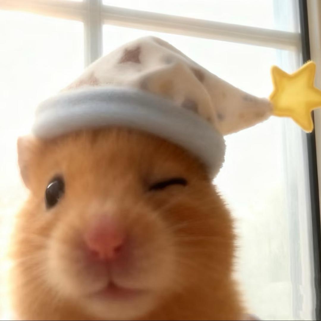 顺顺尼