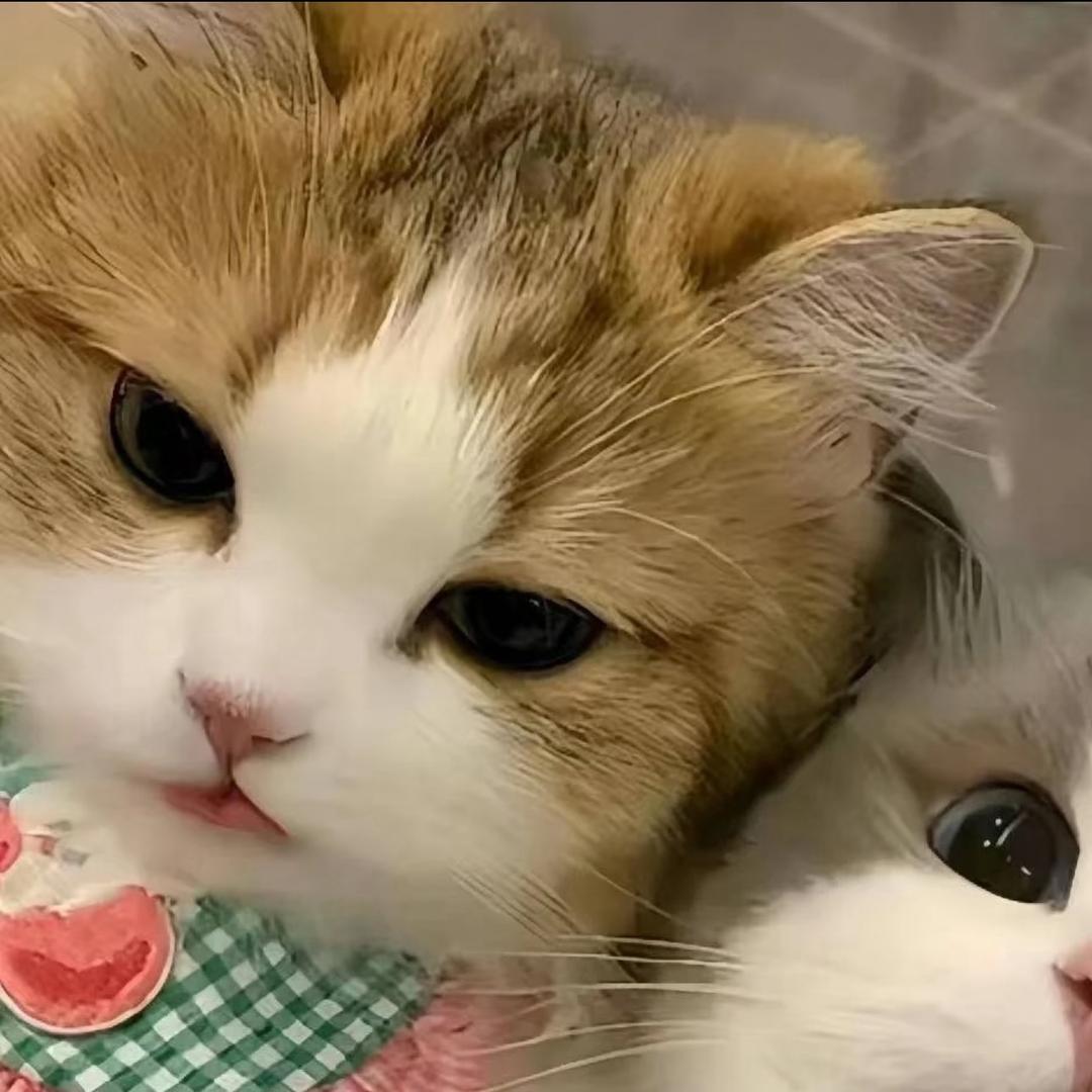 她小姨