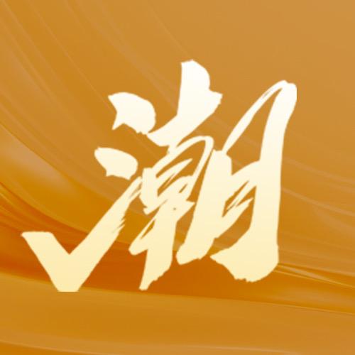 浙报潮选