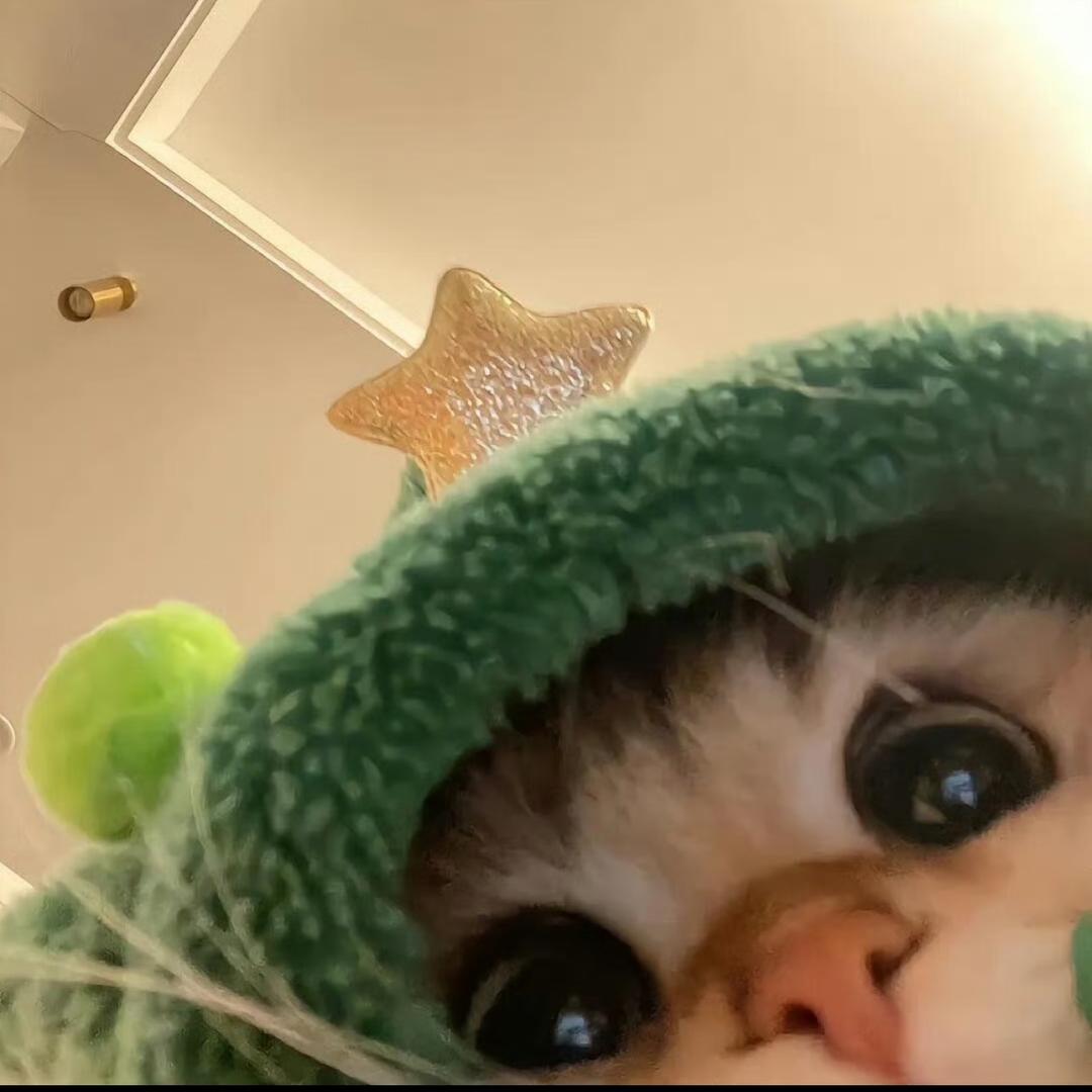 桃桃摇