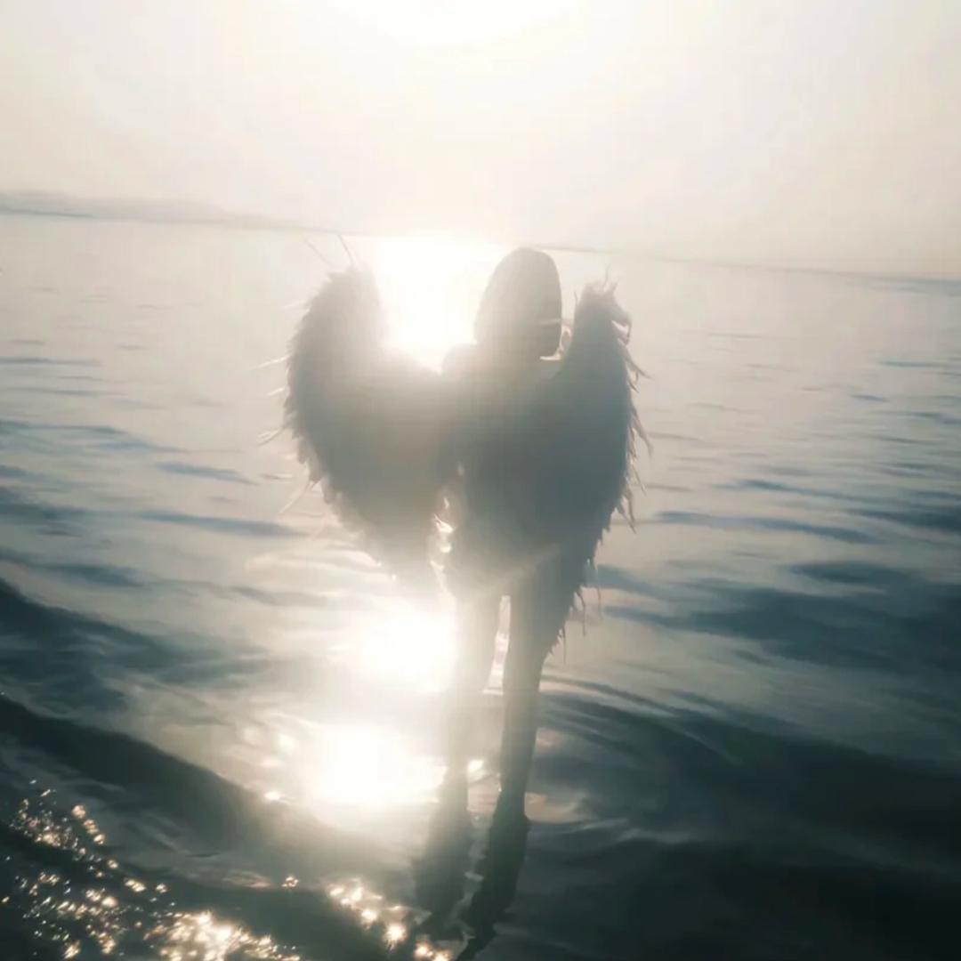 .花生了什么树”