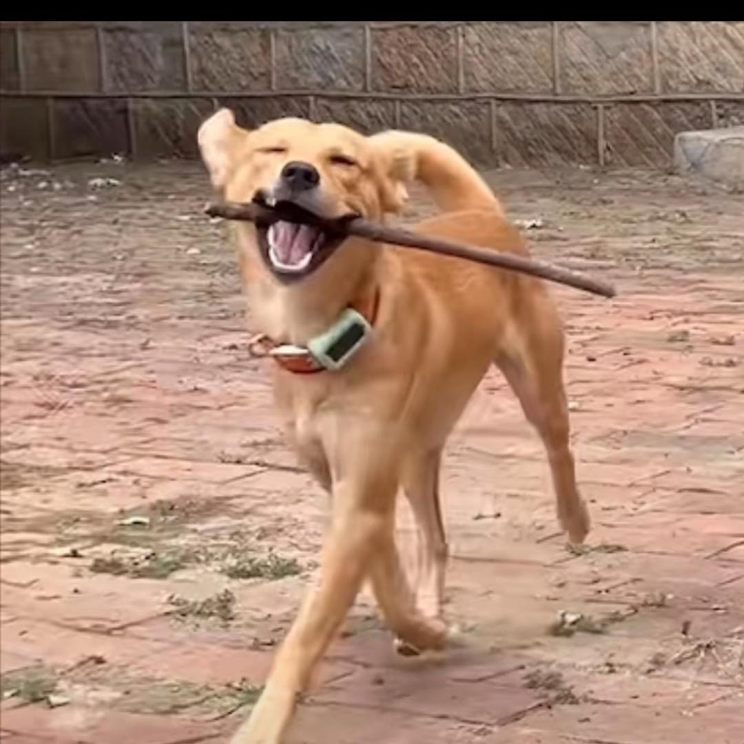 只给腿长的小姐姐送小心心