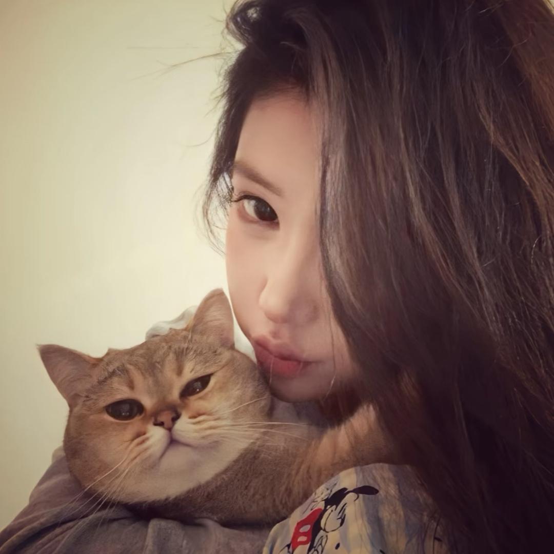 晴
