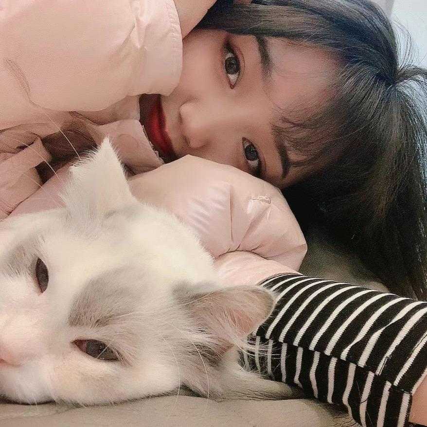 唐小喵美食记