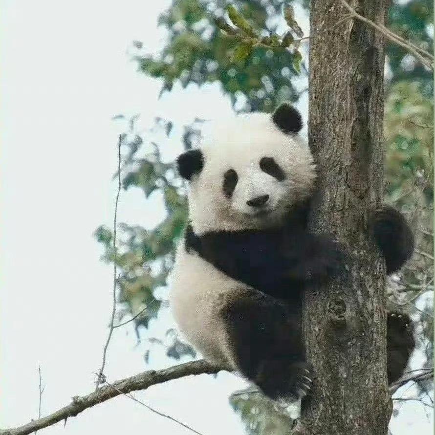 努力努力再努力zzz
