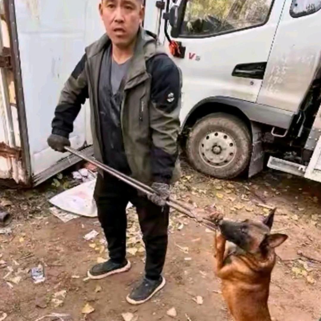 吴师傅专业套狗