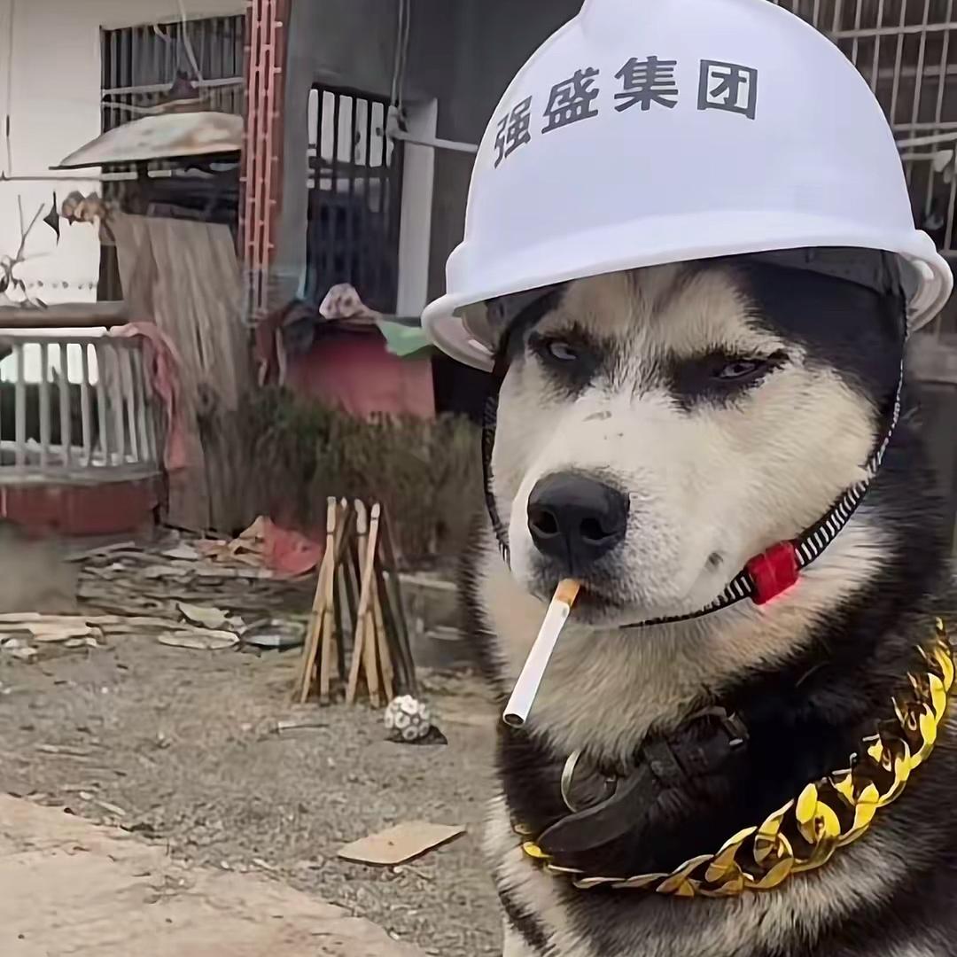 看世界-