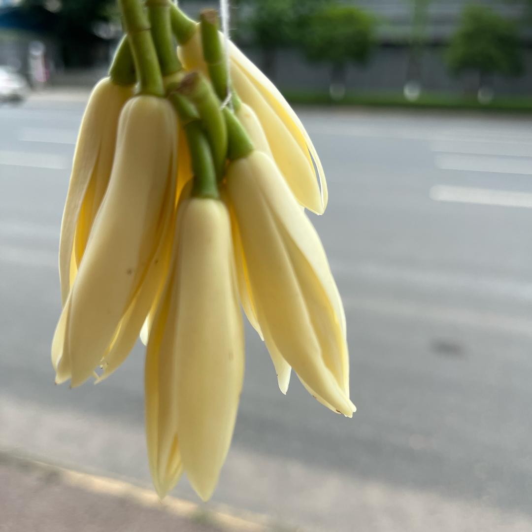 小曾小曾