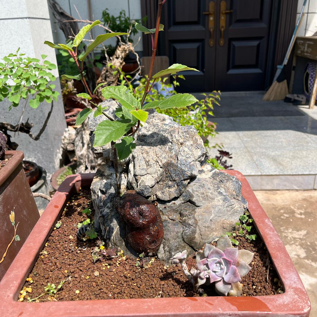 山里生活臻品