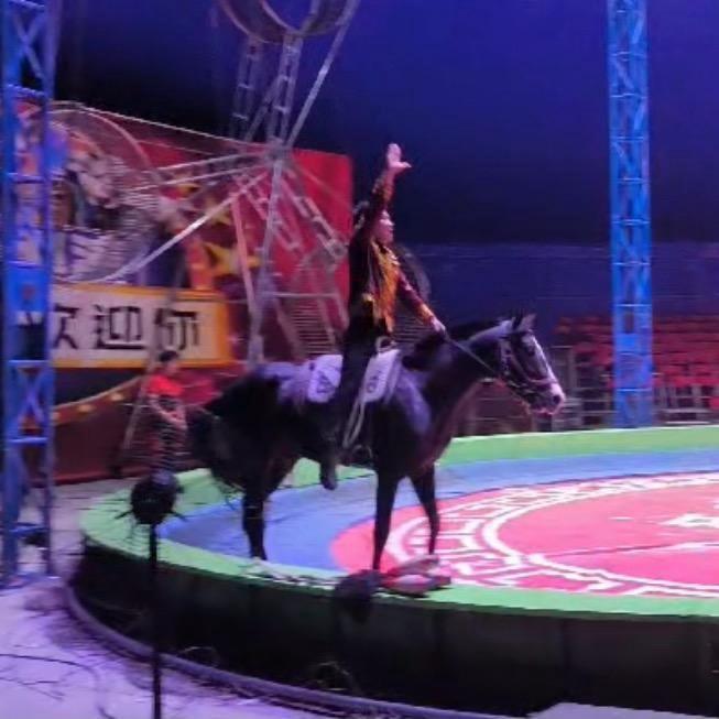 马背上的骑士🐎