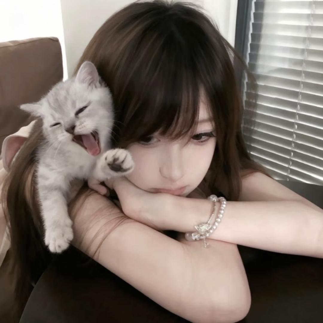 琴日