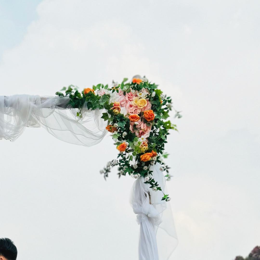 悦悦小姐姐衣橱