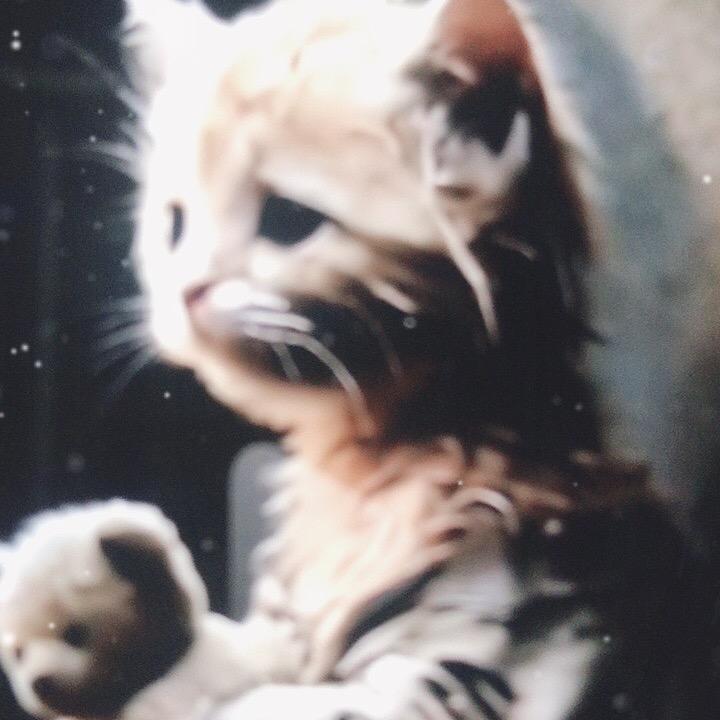 梦想的