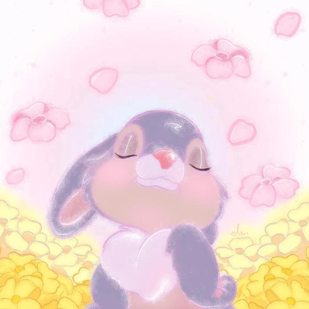 小葵兔