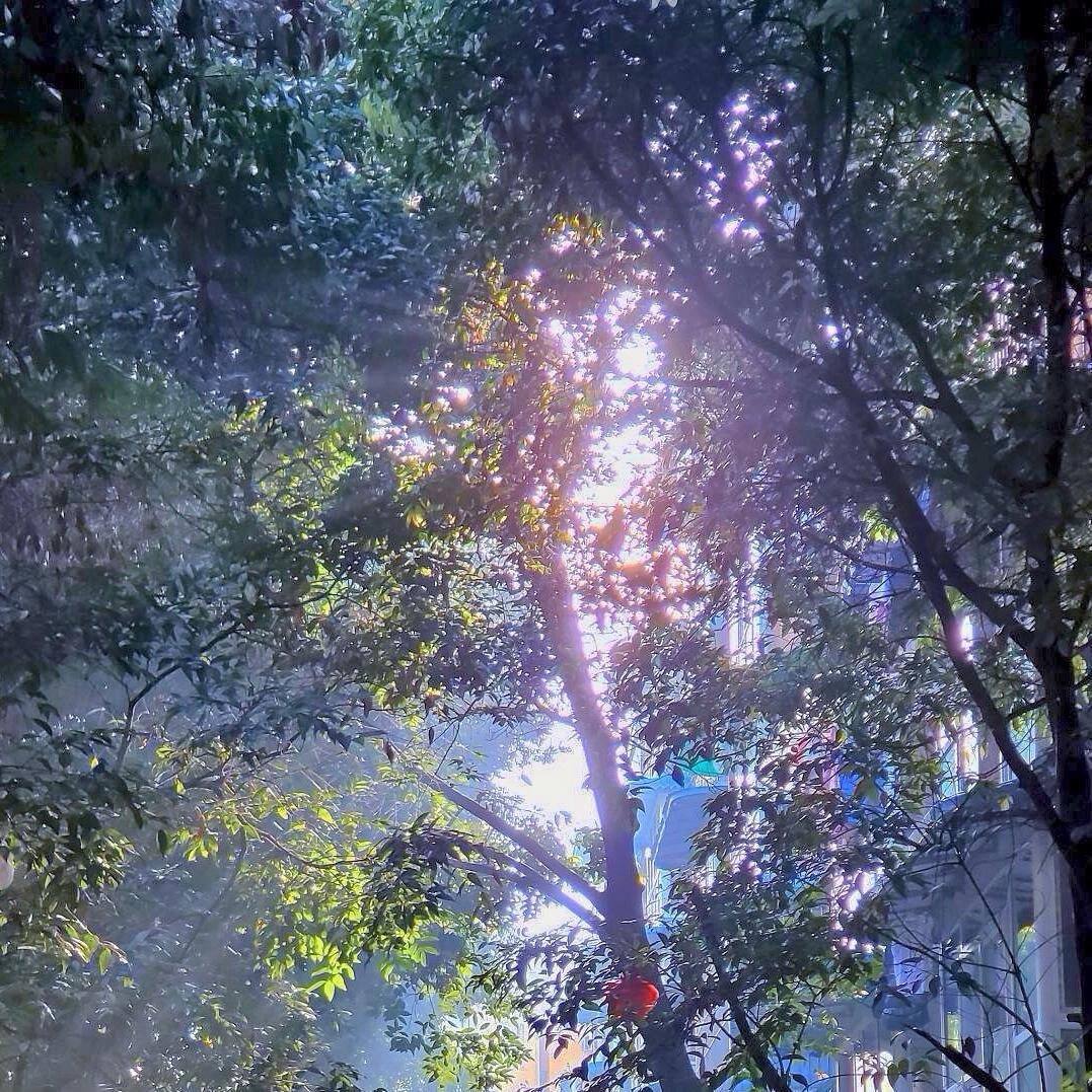 静心