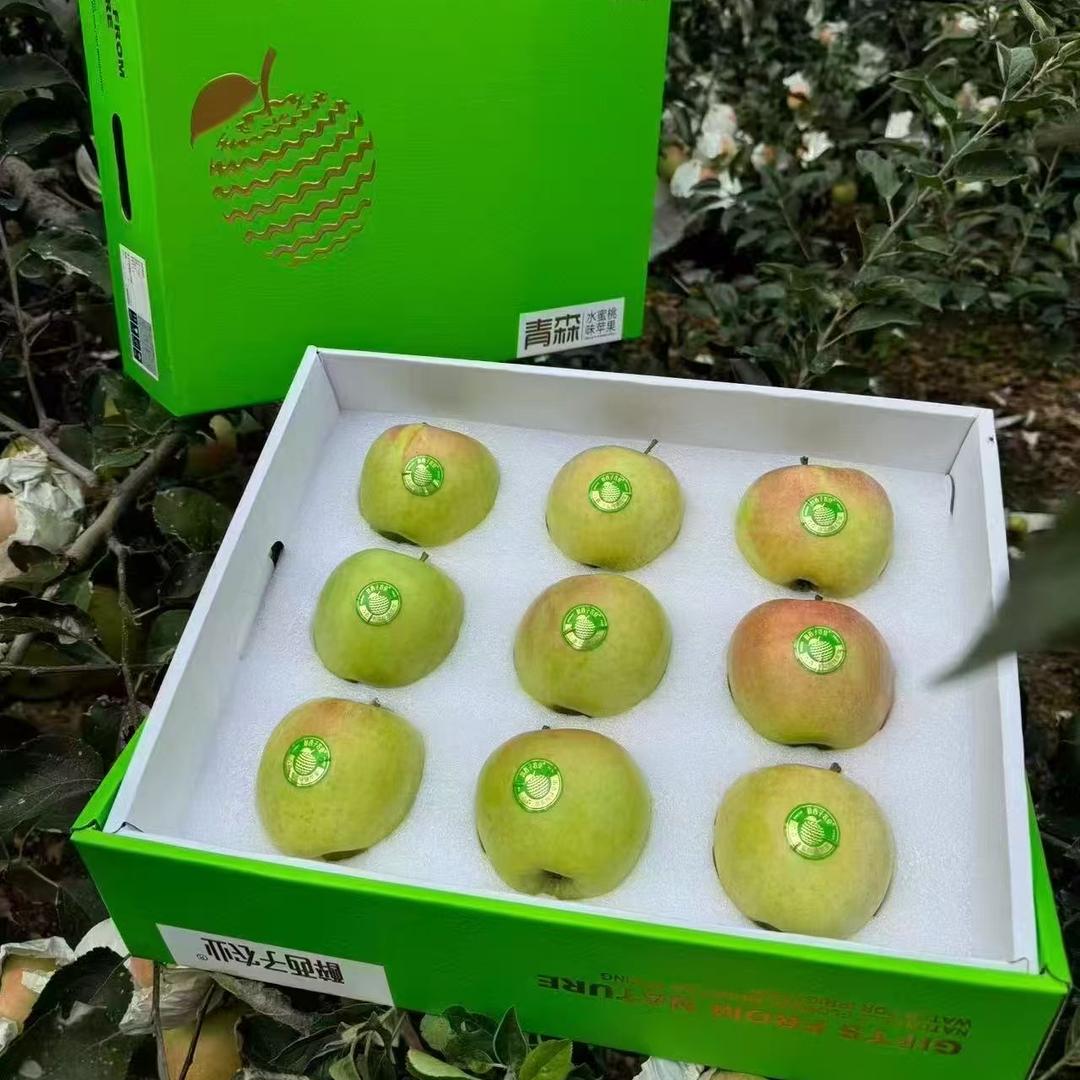 醉西子农业店铺