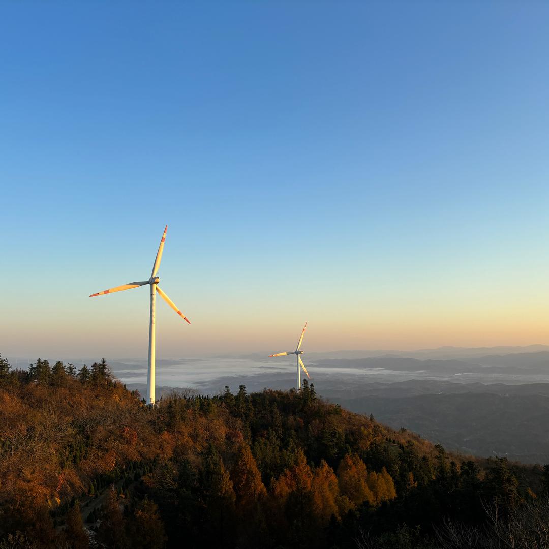 世界欠你一个知己