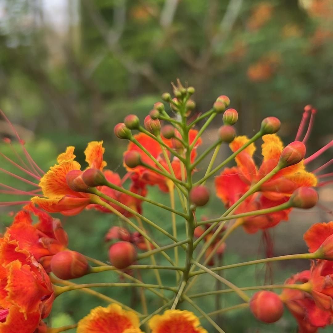 武汉市八八一锅香食品商行