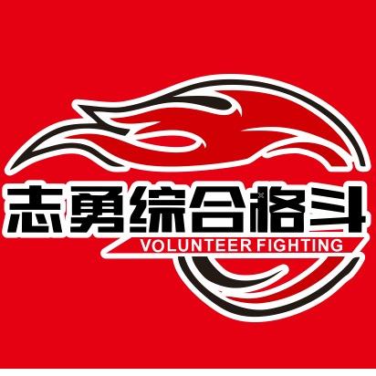 志勇综合格斗王教练
