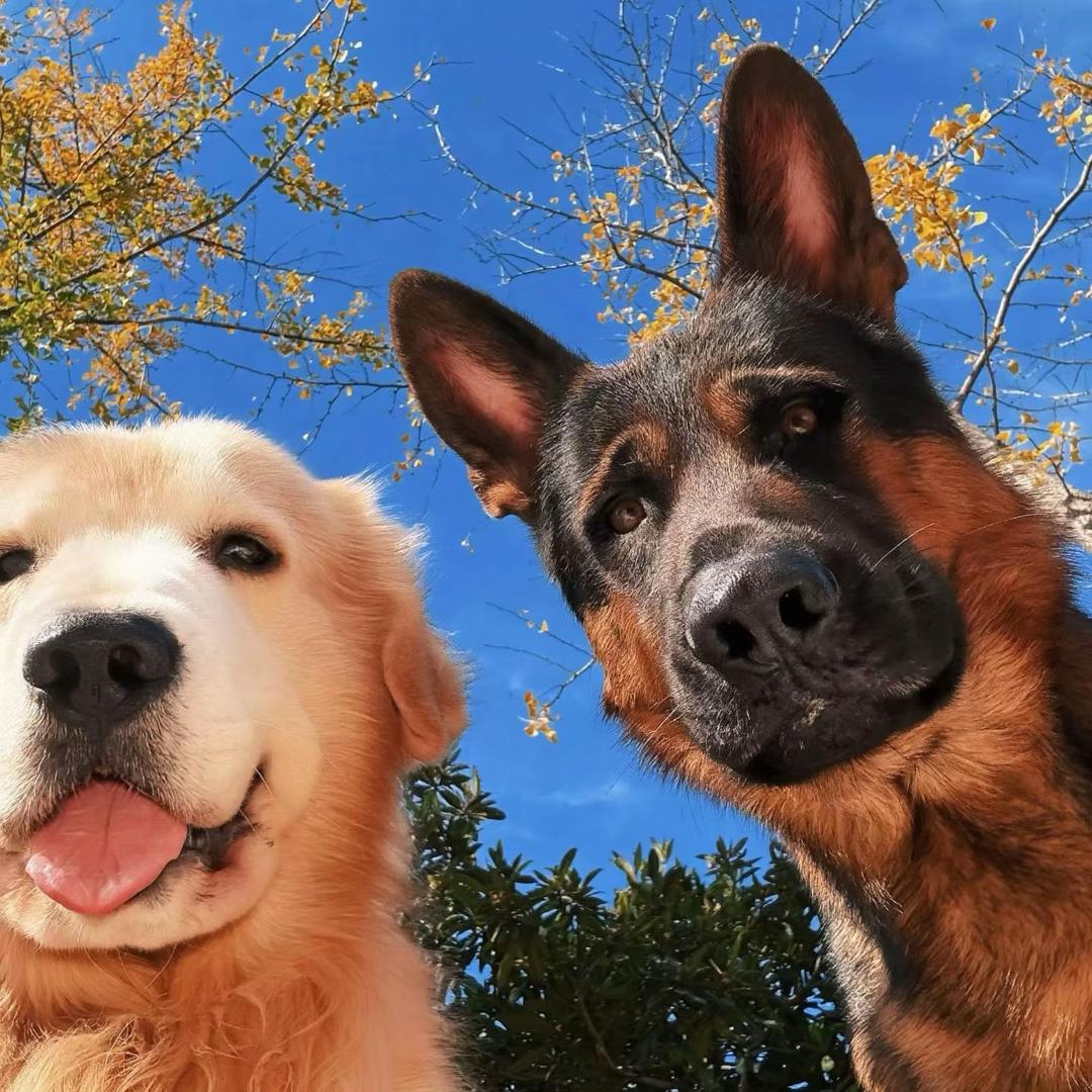 吃点零食怎么了