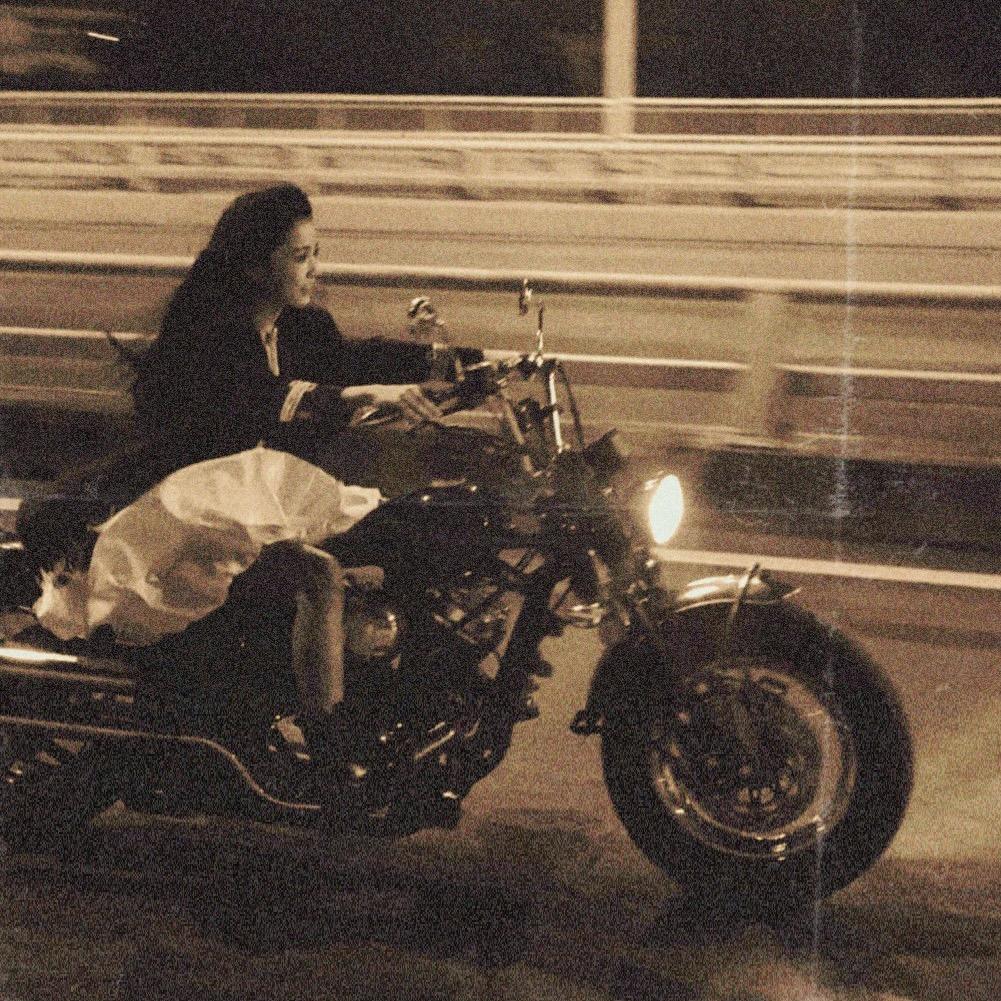 粉红锤（摇酒换哈雷版）