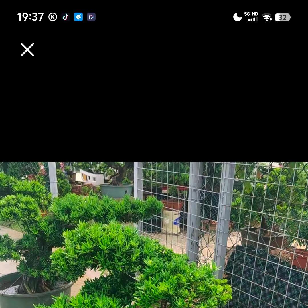 孔孔（一闪云）