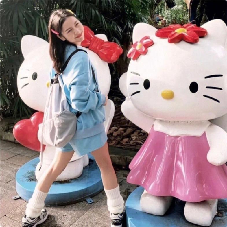 秋刀鱼会有猫的