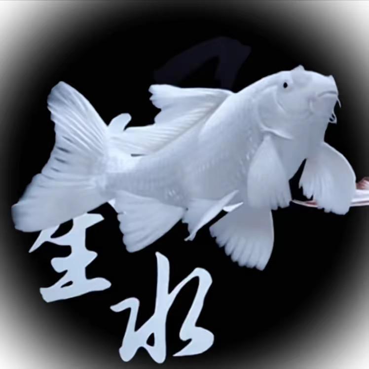 森森水产养殖厂