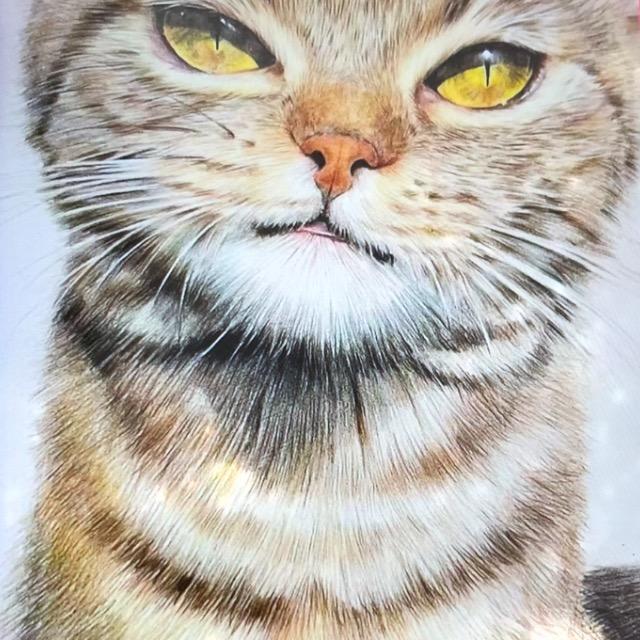 亚力