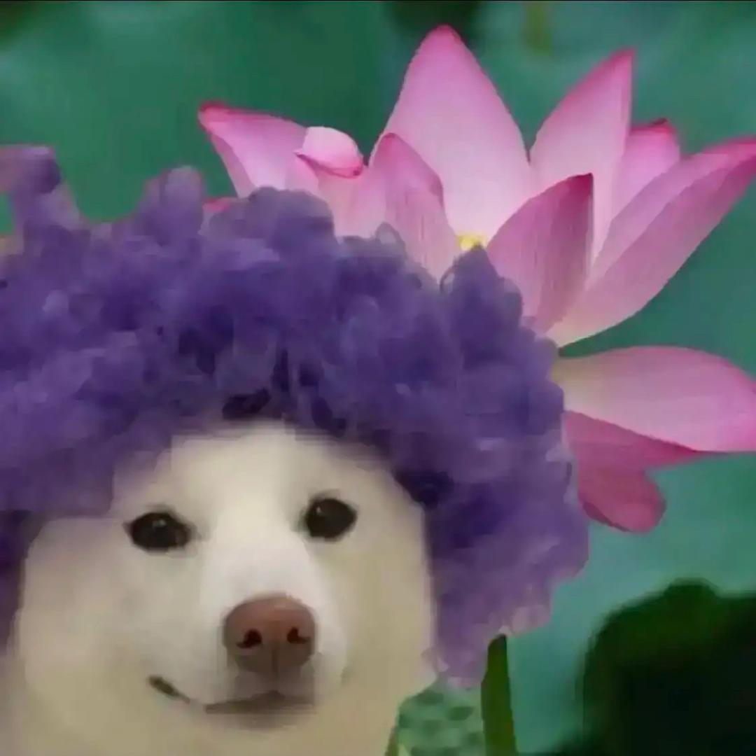 我真不是老黑