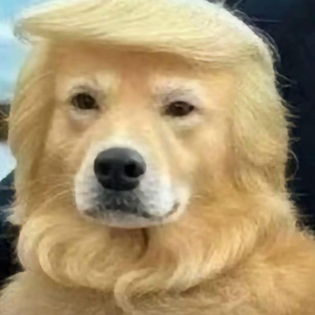 为啥呀