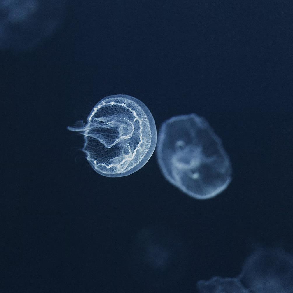拧巴星