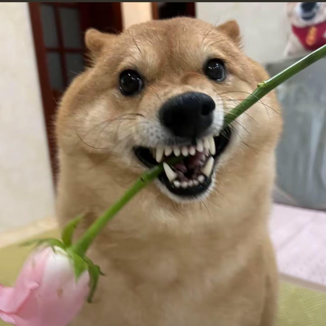 陈开心